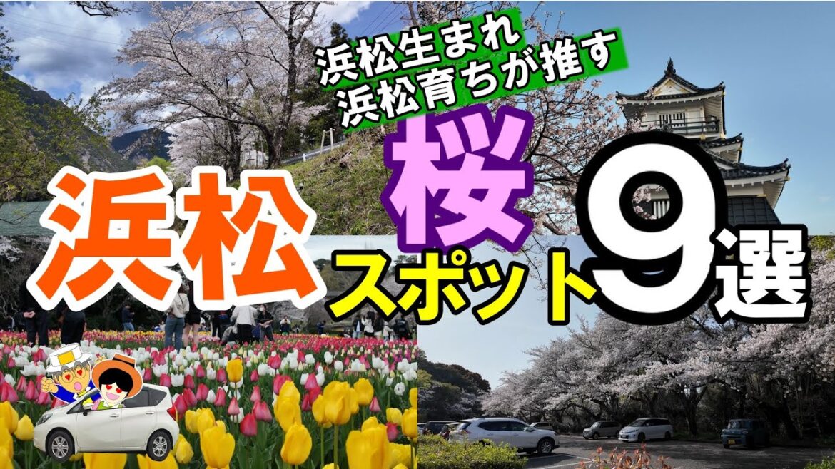 【浜松　桜スポット９選】4/5撮影。はままつフラワーパーク/浜松城/佐鳴湖公園/都田川堤防/奥山公園/摩訶耶寺周辺/浜名湖SA/秋葉ダム千本桜/船明ダム公園