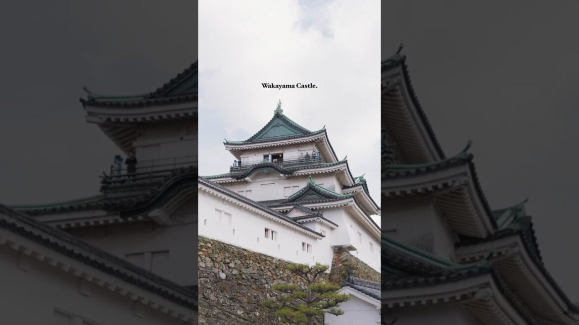Wakayama is a not-so-hidden gem but I feel like many skip this place. #wakayama #japan #kansai