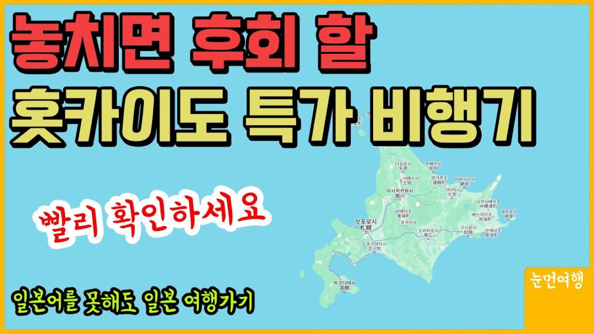 에어로케이 신규노선 오픈! 놓치면 후회할 특가 항공권