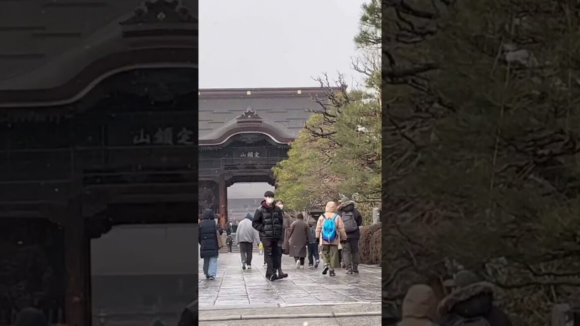 Snowflakes at Zenkoji Temple #travel #asiantravel #japan #snow