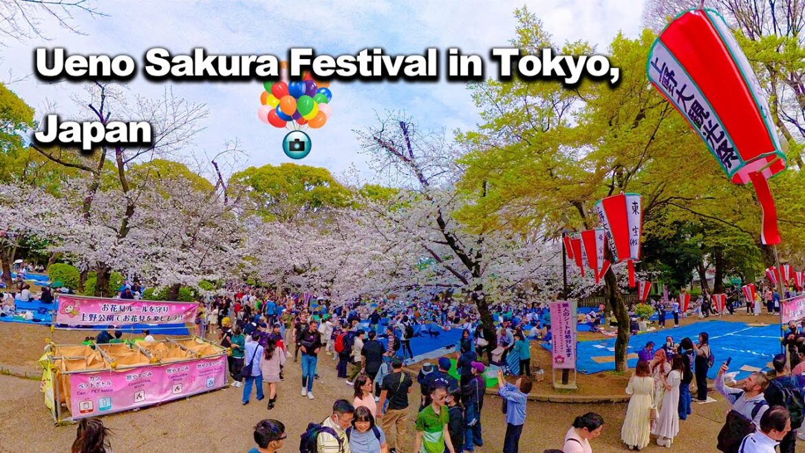 Sakura Tokyo Walking Tour by Insta360 X4 (Ueno Park and Okachimachi) Sakura Tokyo Walking Tour by Insta360 X4 (Ueno Park and Okachimachi)