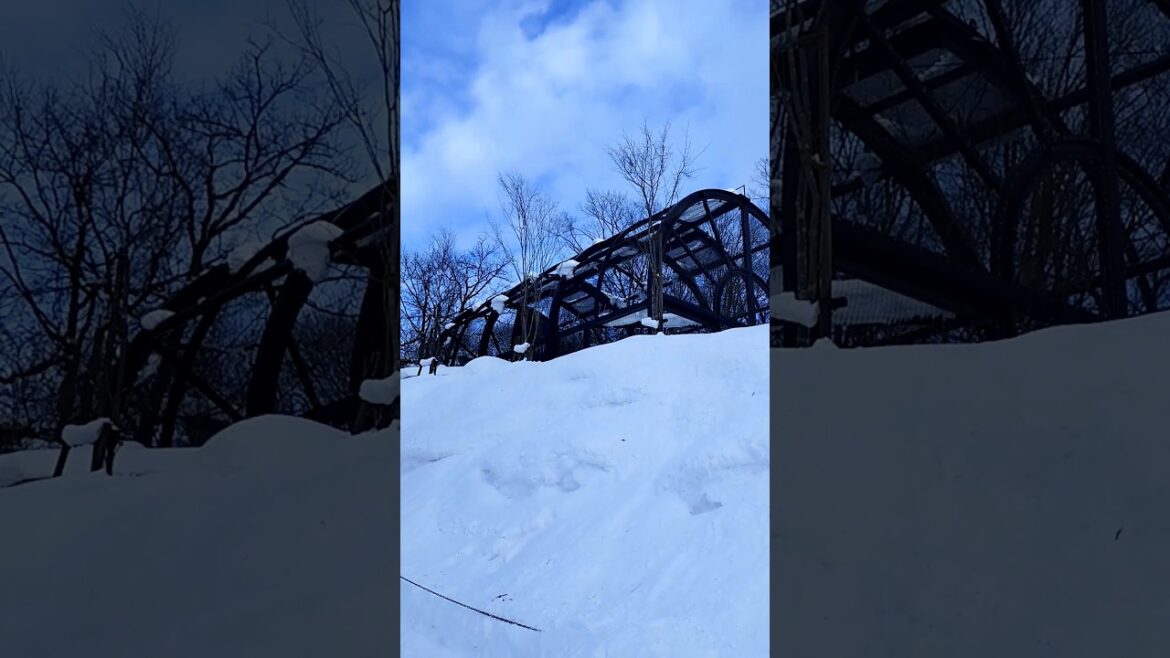 Asahiyama Zoo            #shorts #youtubechannel #foryou #travel #japantravel #biei #hokkaido #japan