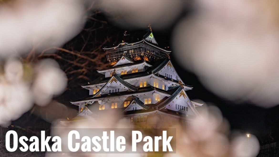 大阪城公園の桜 2025 Osaka Walk- Cherry blossoms at Osaka Castle Park 4K HDR Japan 大阪城公園の桜 2025 Osaka Walk- Cherry blossoms at Osaka Castle Park 4K HDR Japan