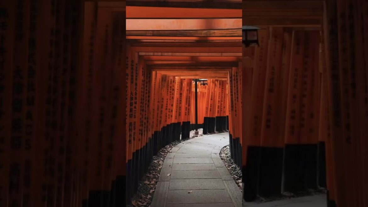 NEXT STOP IS ✈️ : Beautiful 🇯🇵 JAPAN #travel #asiantravel #japan #japantravel #japanese #asia