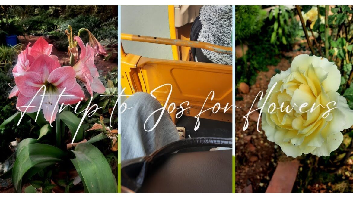 TRAVEL VLOG/A WEEKEND IN JOS AND A SECRET ROSE GARDEN//YETUNDE ADEJO