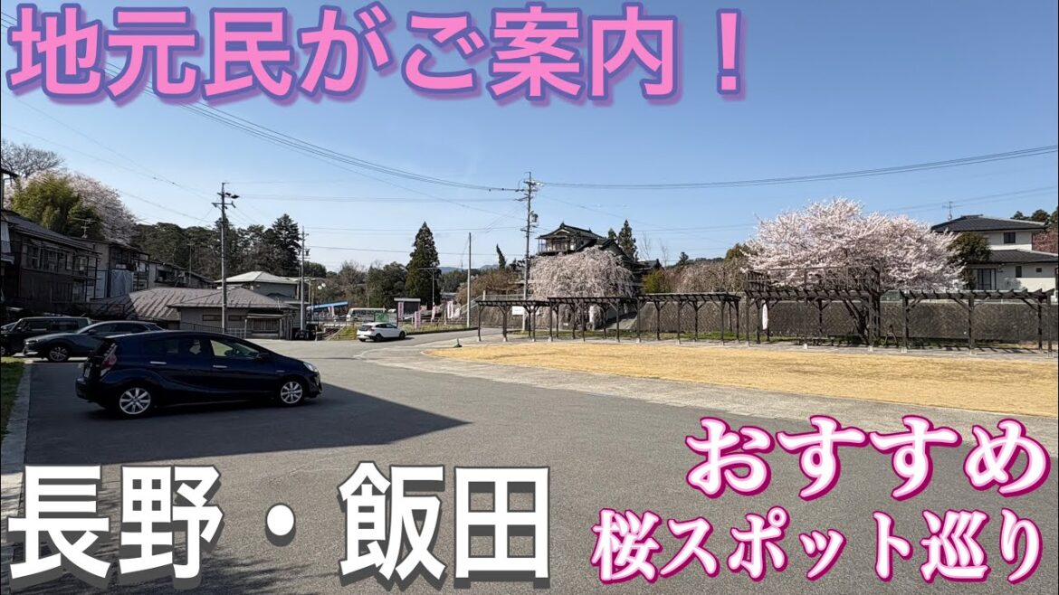 【2025春】南信州・飯田市の桜スポットを巡るドライブ！【Drive Vlog】