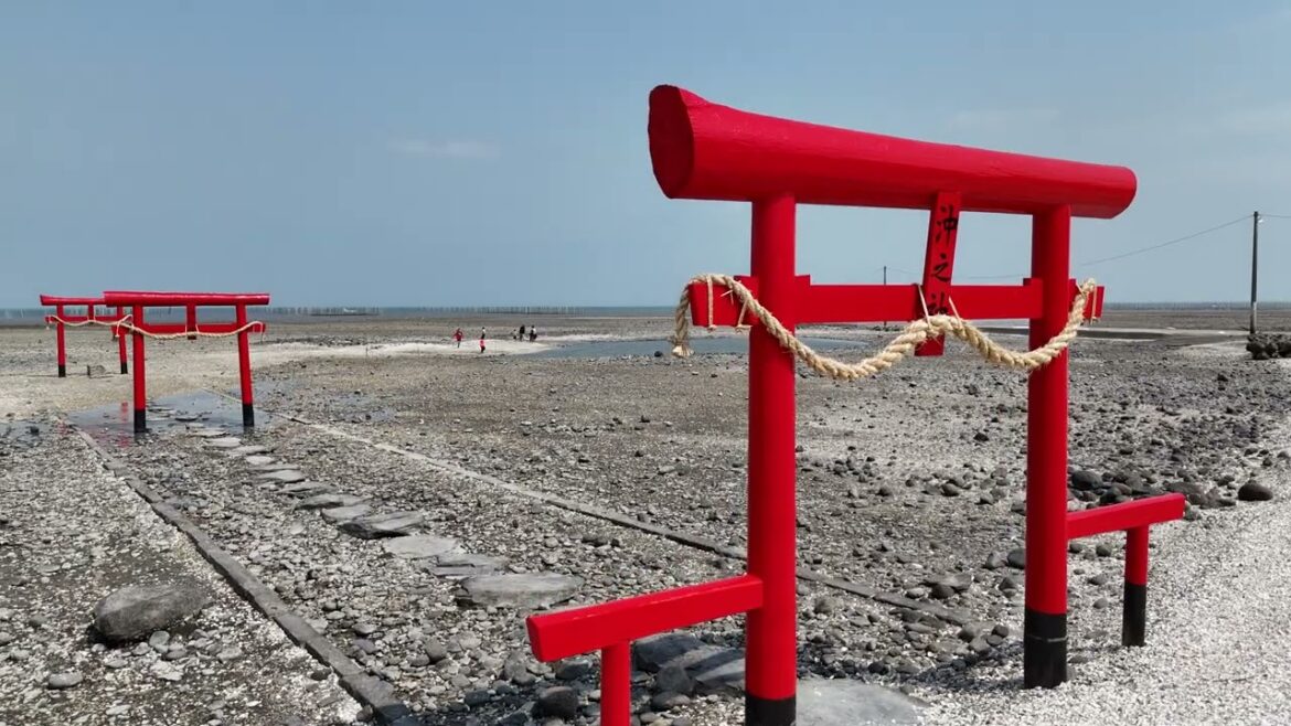 海鮮焼 SEAFOOD TARA SAGA FUJITSU DISTRICT