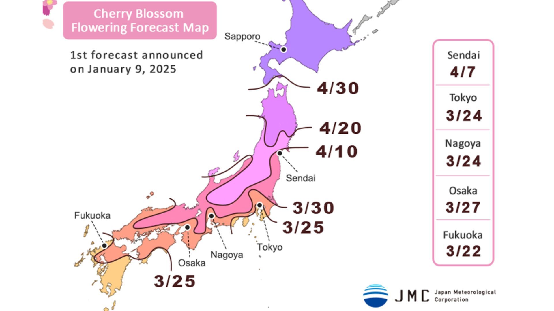 Cherry blossom in Japan