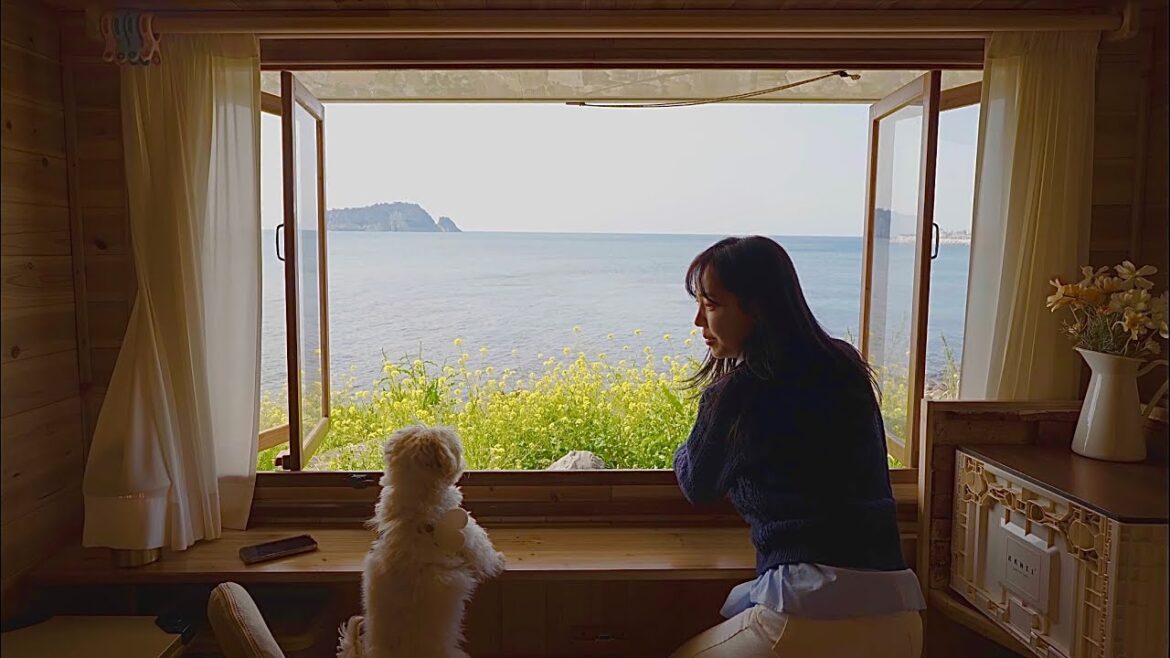 폭삭 속았수다! 봄이 찾아온 제주로 트럭 차박캠핑