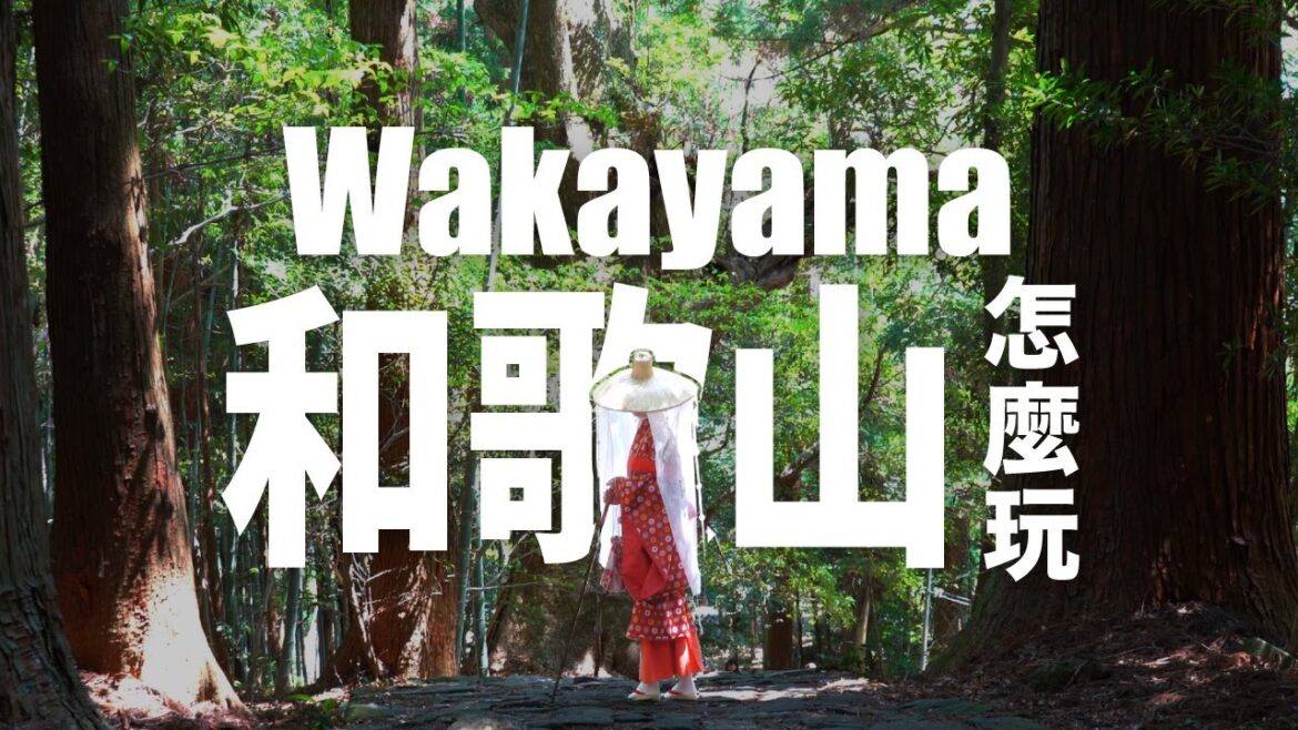 和歌山樂享周遊券｜穿著平安服裝穿著漫步古道中、享用美味鮪魚餐點、動物遊樂園冒險大世界 、紀三井寺、白濱海中展望塔、太地町立鯨魚博物館、串本町觀光周遊巴士、和歌山城、紀之松島遊覽船