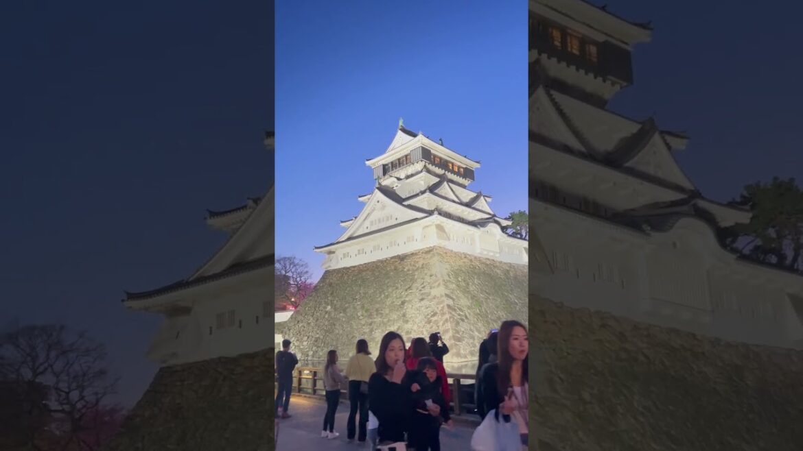 Kokura castle at night