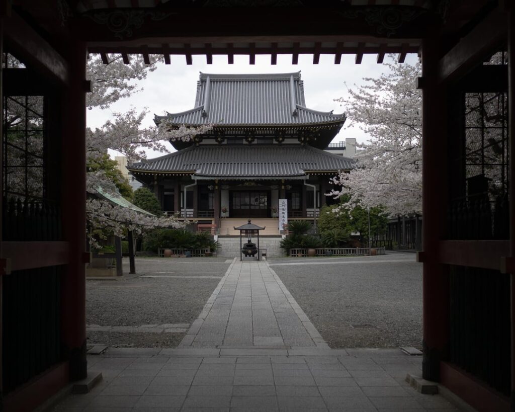 Walkography - Just got back to Tokyo and back to walking... new neighbourhood...