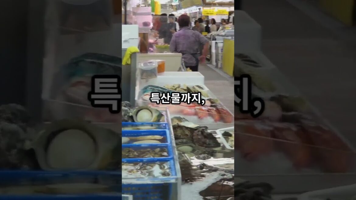 가라토 시장_ 교토의 숨겨진 보물#일본여행##니시키시장#여행