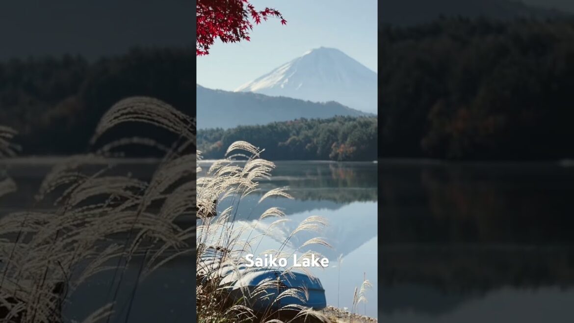 Five Lake of Mt. Fuji #travel #asiantravel #japan #lake