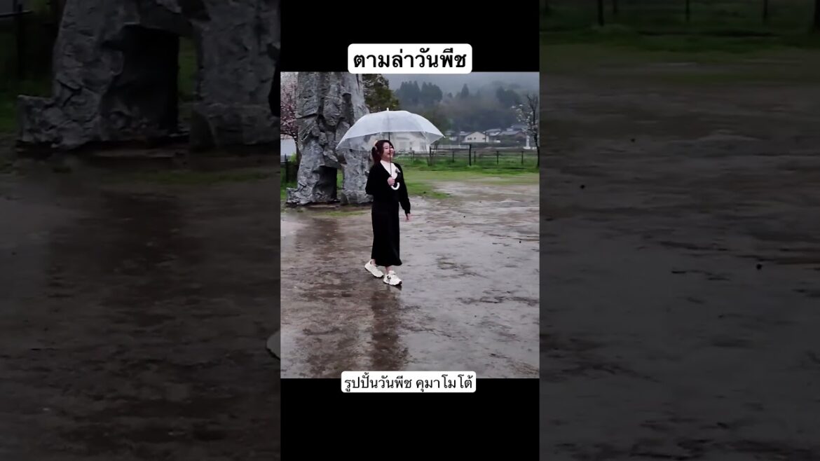 ตามล่ารูปปั้นวันพีช #onepiece #วันพีช #คุมาโมโต้ #kumamoto #เที่ยวญี่ปุ่น #japantravel #brook