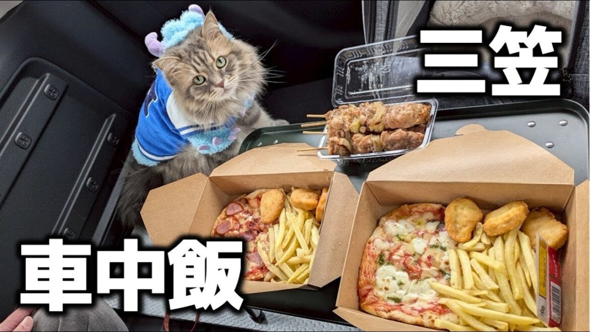 【北海道ドライブ】道内最古の道の駅　三笠でピザを堪能！猫と一緒に道の駅探訪