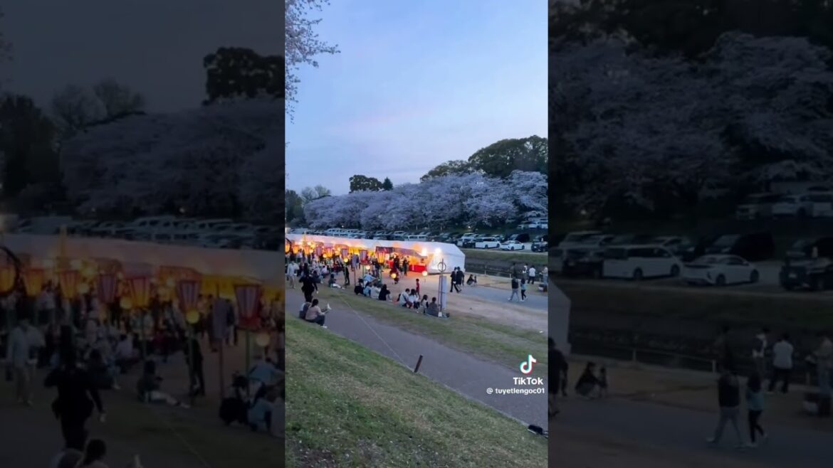 Okayama Korakuen Garden #travel #sorotan #sorotanpublik