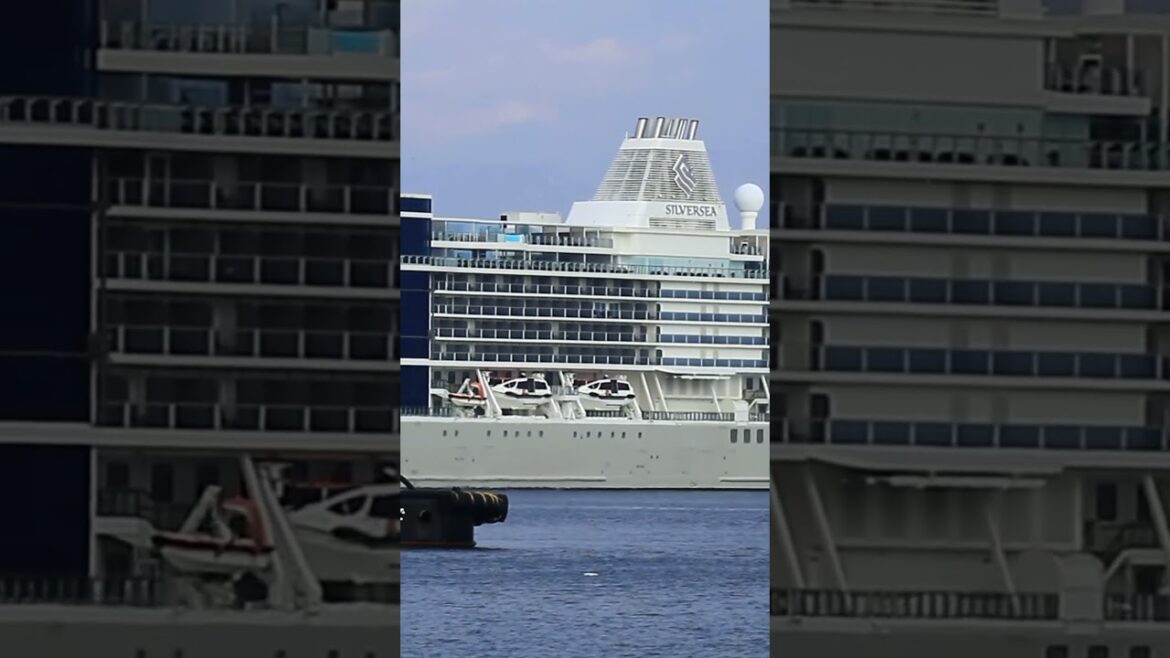 函館港　2025.4.7. SILVER NOVAシルバー・ノヴァ入港シーン🎬