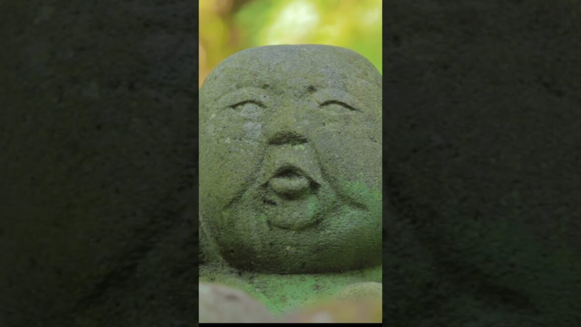 🌸 Sogenchi Garden and Pond Kyoto Japan 🌸 #japan #kyoto #travel #discoverjapan #explore