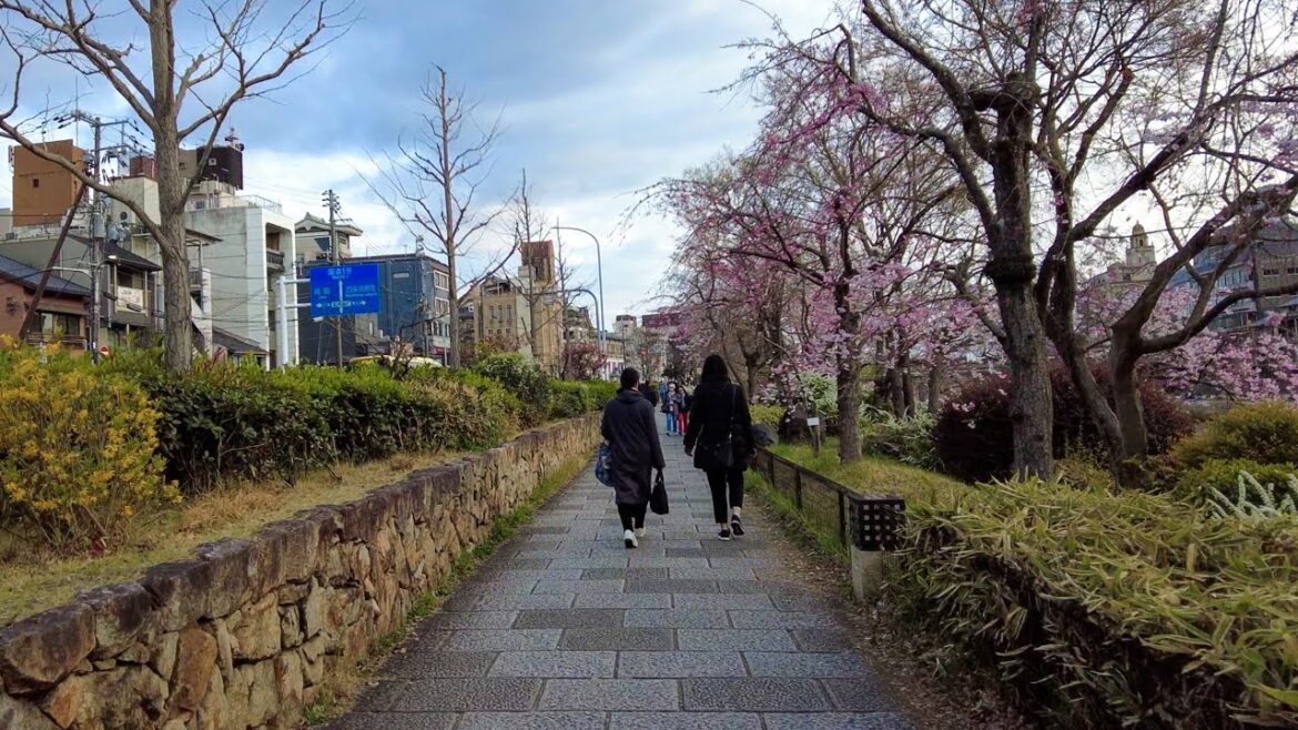 🇯🇵 Japan Walking Tour 🌸 Kyoto Early Cherry Blossom Walk | 4K HDR 🇯🇵 Japan Walking Tour 🌸 Kyoto Early Cherry Blossom Walk | 4K HDR