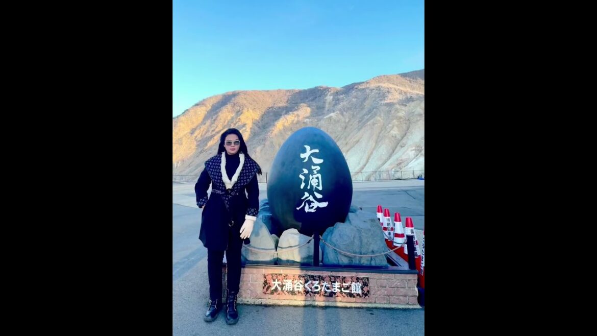 Lost in the beauty of Japan.#travel #shortsyoutube #tokyo #japnese #hokkaido