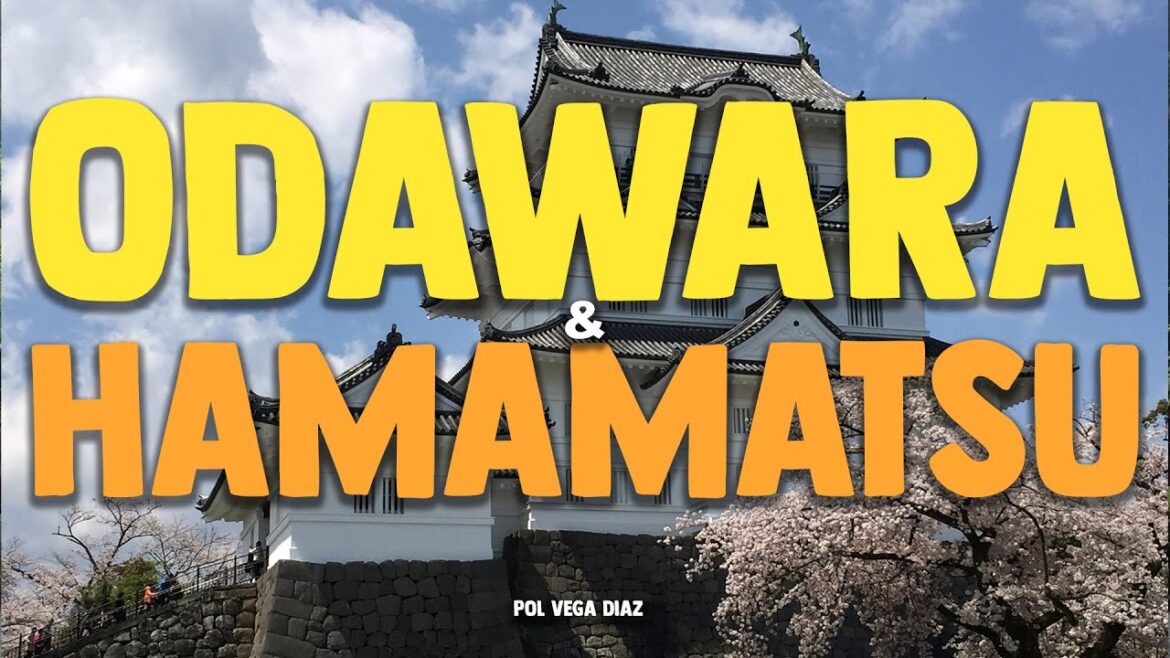 Primavera a ODAWARA i HAMAMATSU | Castells del període Sengoku, museus i cirerers florits | JAPÓ 🇯🇵