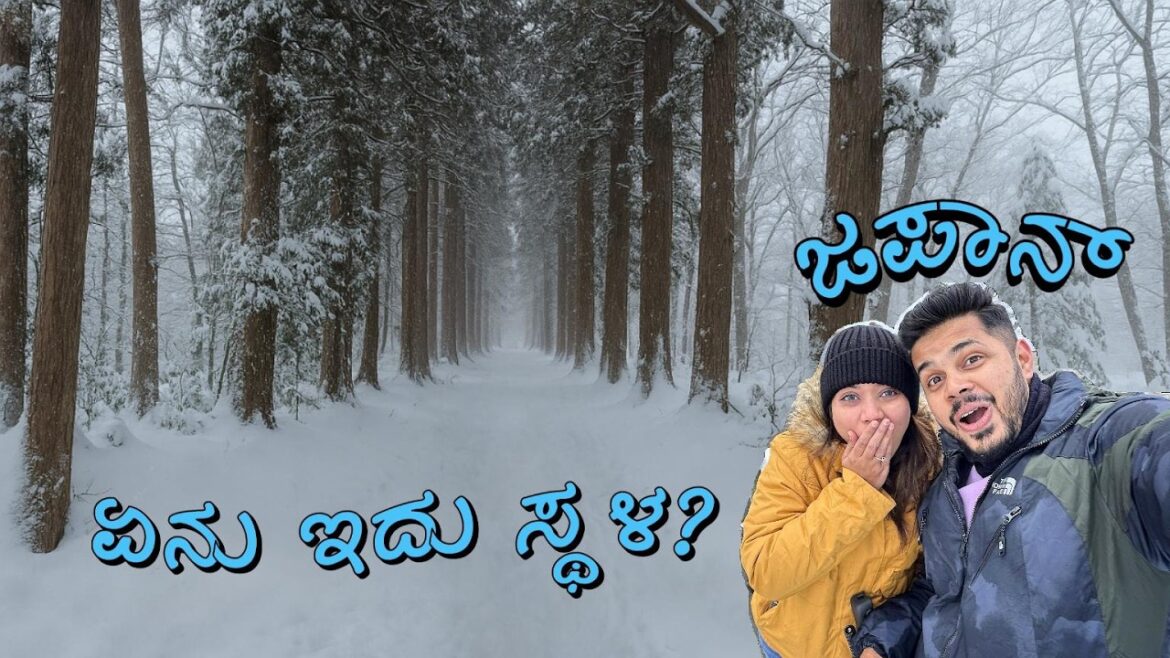 We can't believe most tourists don't visit this SECRET PLACE in Japan