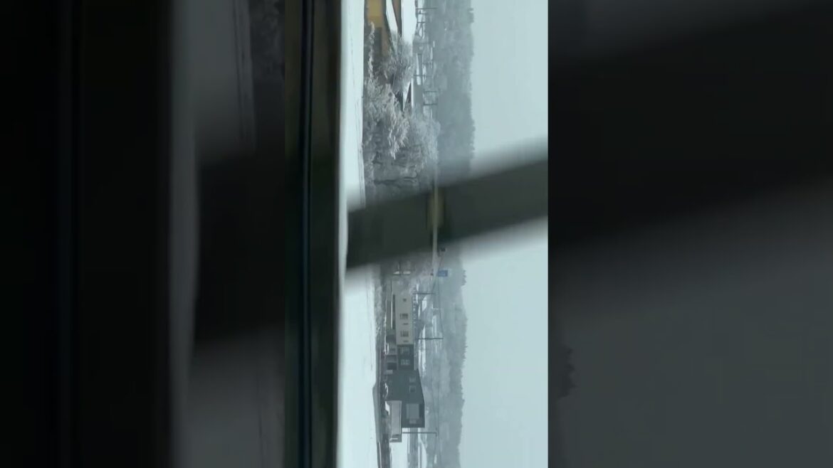 2. Tokyo to Sapporo Japan Snowiest city in the world #japan #sapporo #roppongb#shorts #youtubeshorts 2. Tokyo to Sapporo Japan Snowiest city in the world #japan #sapporo #roppongb#shorts #youtubeshorts