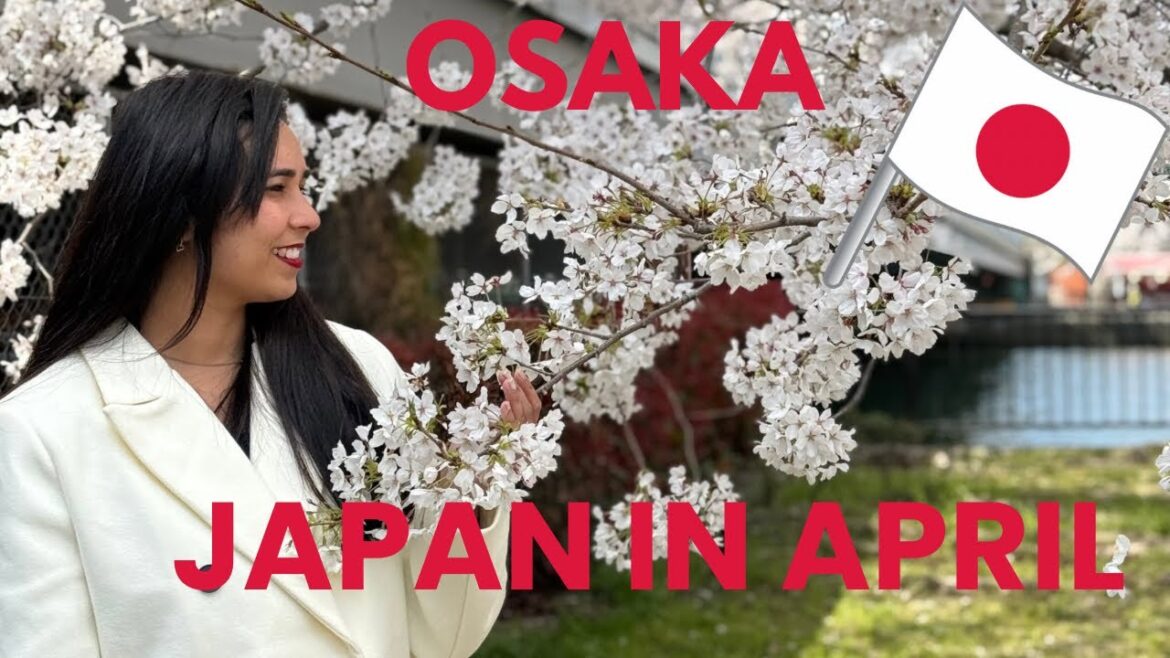 Japan in April: Cherry Blossoms & Family Fun in Osaka- First day in Japan Japan in April: Cherry Blossoms & Family Fun in Osaka- First day in Japan