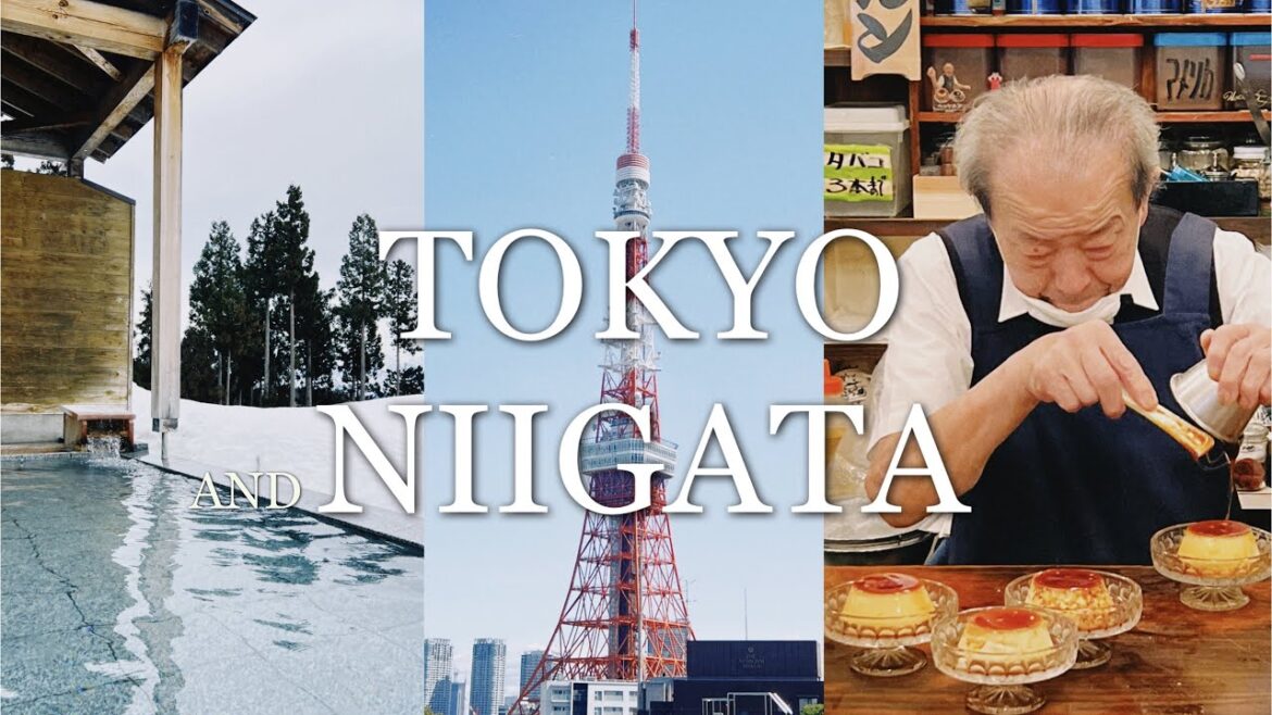 TOKYO VLOG | Niigata Onsen Satoyama-Jujo | Best Sukiyaki & Pudding | Vintage Shopping | 東京 | 新瀉里山十帖