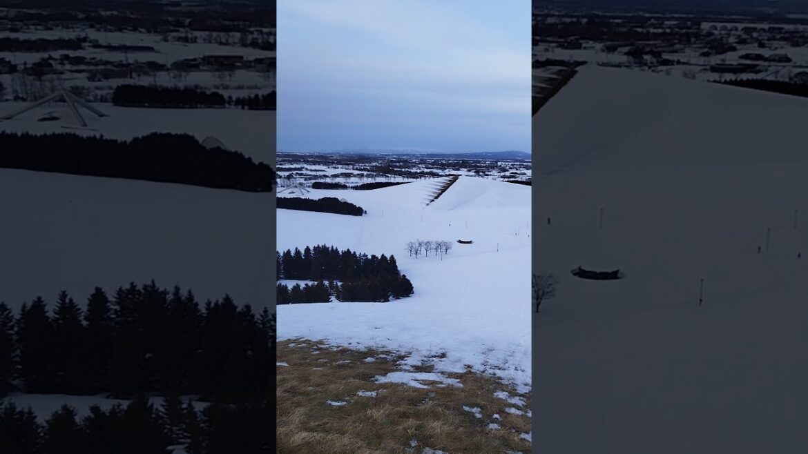 Moerenuma Park❄️❄️    #shorts #youtubechannel #foryou #travel #japantravel #sapporo #hokkaido #japan