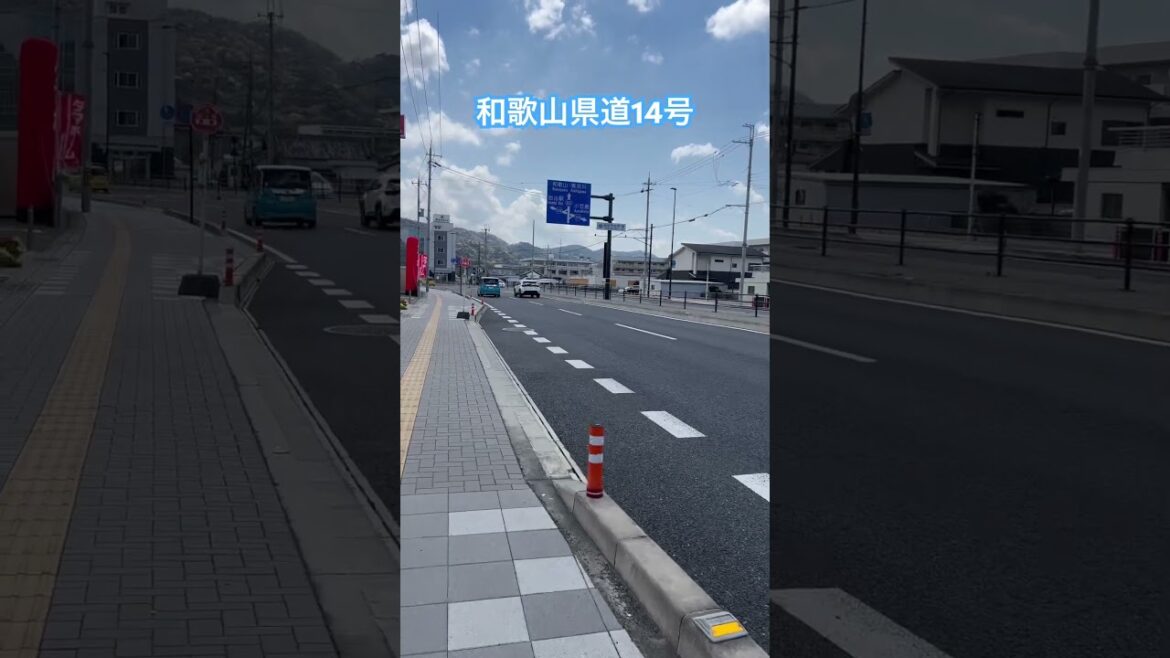 On Wakayama Prefectural Route 14 . #street #traffic #viralvideo #japan #wakayama #miya #traveling