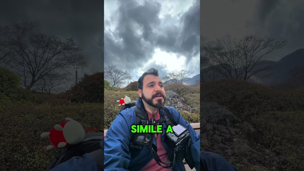 Un posto creativo nel cuore di Hakone! #giappone #travel