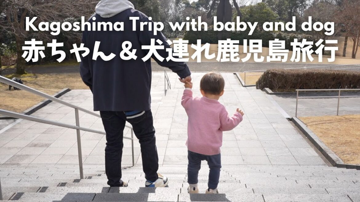赤ちゃん＆犬連れ鹿児島ロードトリップ👦🏻🐶 | 霧島アートの森 | フェアフィールド･バイ･マリオット･鹿児島たるみず桜島🐶ドッグフレンドリーホテル