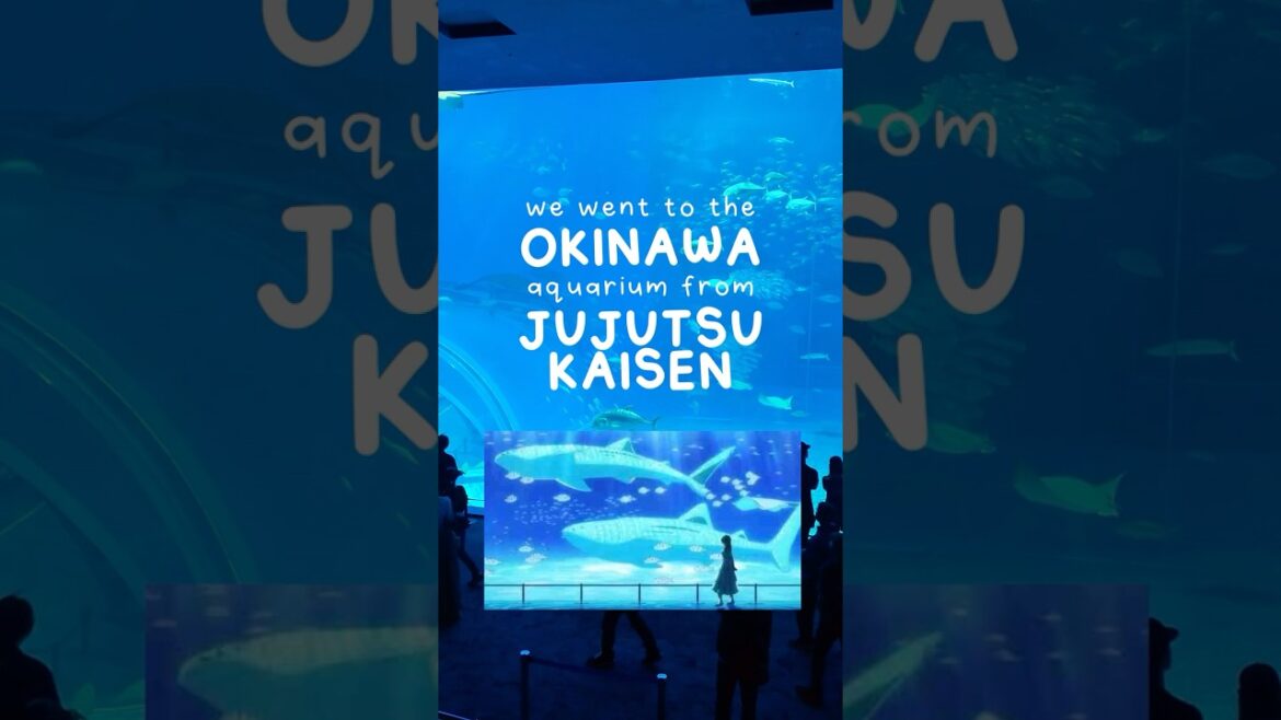 POV: You travel to Okinawa to see the aquarium from Jujutsu Kaisen 🐋✨ #jujutsukaisen #animeirl POV: You travel to Okinawa to see the aquarium from Jujutsu Kaisen 🐋✨ #jujutsukaisen #animeirl