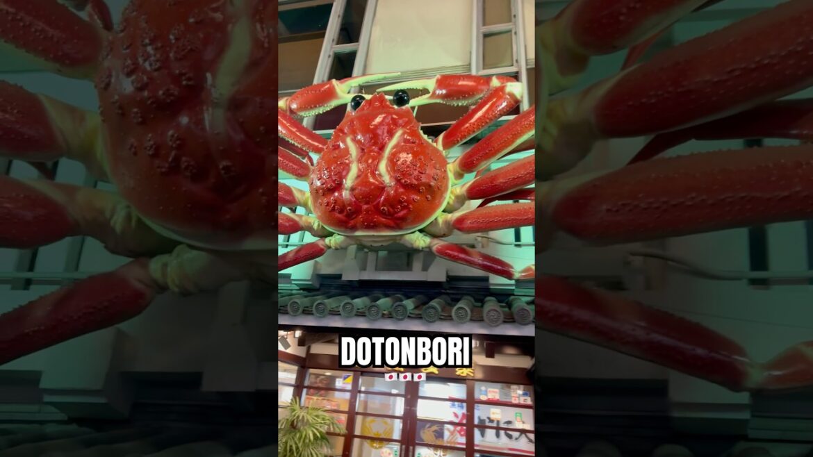 Dotonbori Vibes: A Quick Tour Through Osaka’s Famous District 🇯🇵