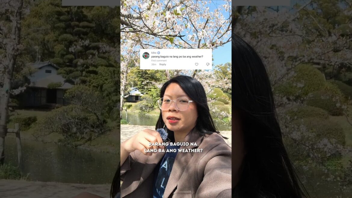 Japan weather update today April 8 #japantravel #japantips #japanspring #springoutfit