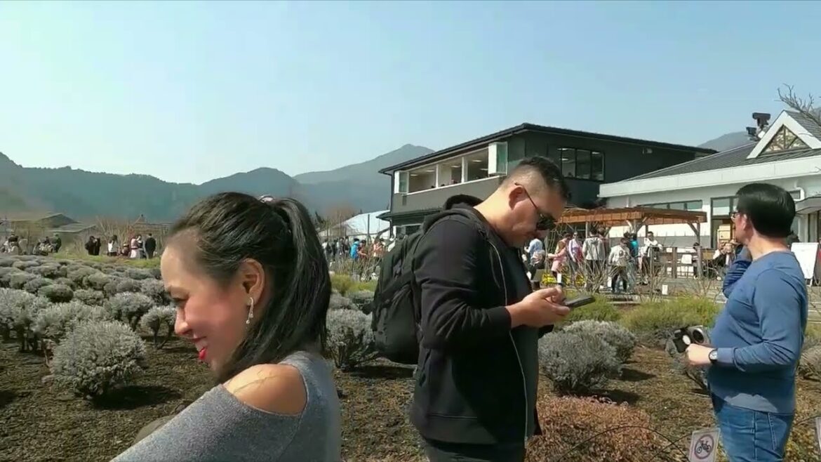 MAJESTIC MOUNT FUJI, AND STUNNING TOKYO TOWER. WE FELL IN LOVE WITH THE VIEW. !!