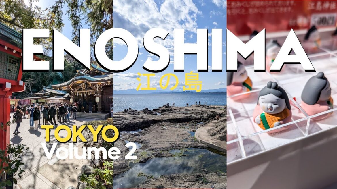 Tokyo Day Trip to Enoshima travel vlog: Stunning Views, Shrines & a Chill Escape from the City π
β©οΈβ¨ Tokyo Day Trip to Enoshima travel vlog: Stunning Views, Shrines & a Chill Escape from the City π
β©οΈβ¨