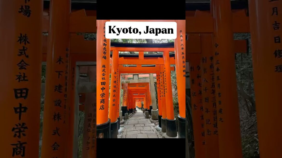 Kyoto, Japan Trip #travel #shorts