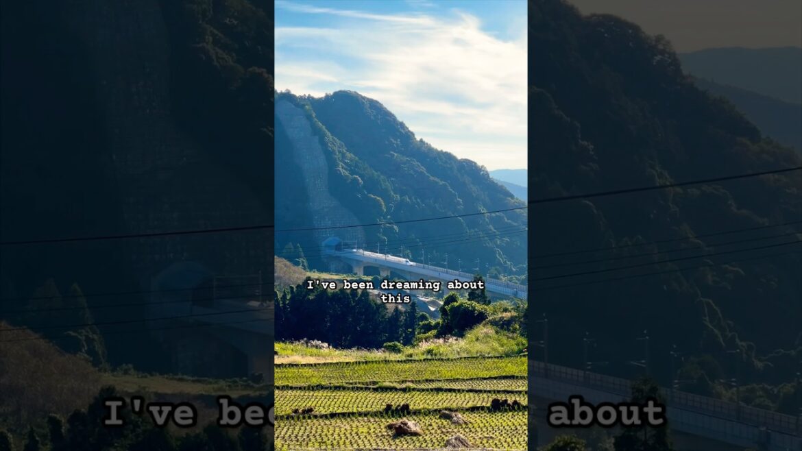 Bucket list moment in Japan = ✅