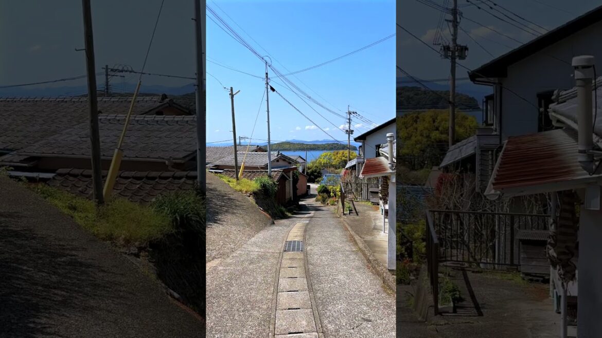Japanese countryside: Tsukinoura, Minamata City, Kumamoto, Japan. #japaneselandscape