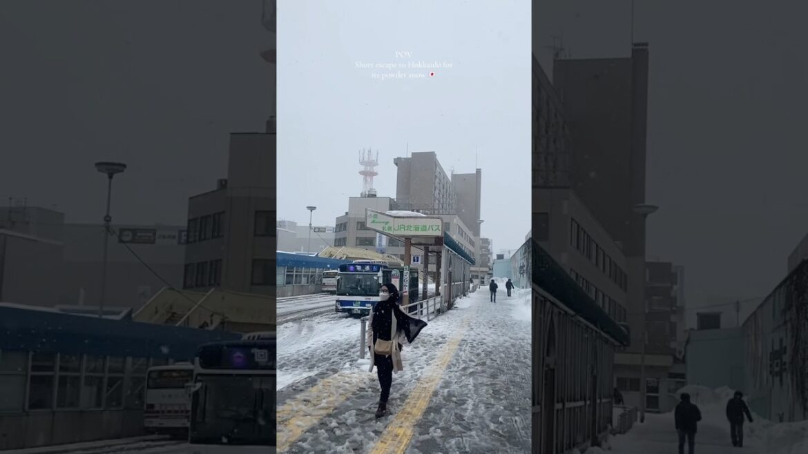 POV: You book ticket to Hokkaido for snow hunting