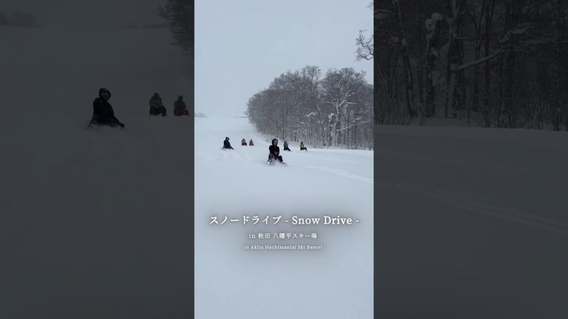 秋田でここだけ！？今話題の『スノードライブ』ができるスキー場⛷️