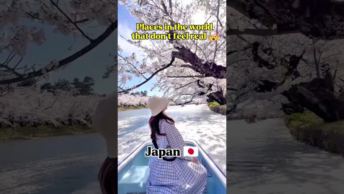 Most beautiful places in japan 🇯🇵 #japan #travel #adventure #shorts