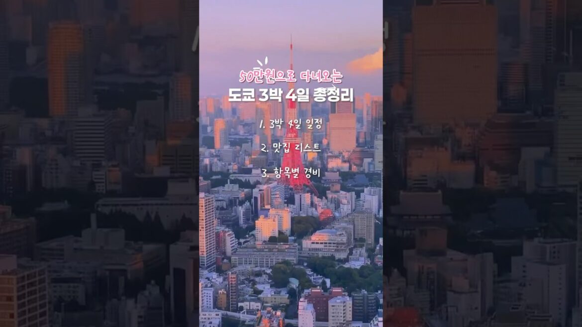 이 영상 하나면 끝! 도쿄여행 총정리🩷 설명란에 더보기🪽