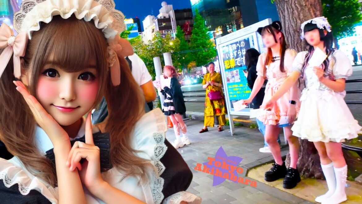 Tokyo Akihabara🐶Cosplay Town♪💖4K non-stop 1 hour Tokyo Akihabara🐶Cosplay Town♪💖4K non-stop 1 hour