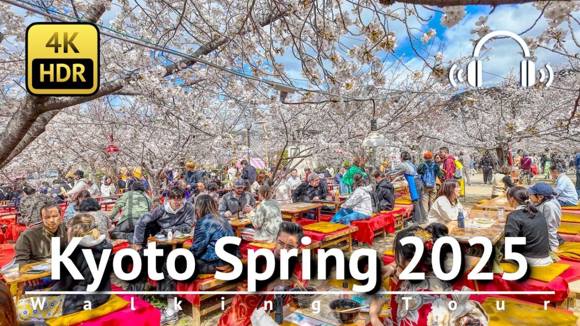 Kyoto Spring 2025 Walking Tour [4K/HDR/Binaural]