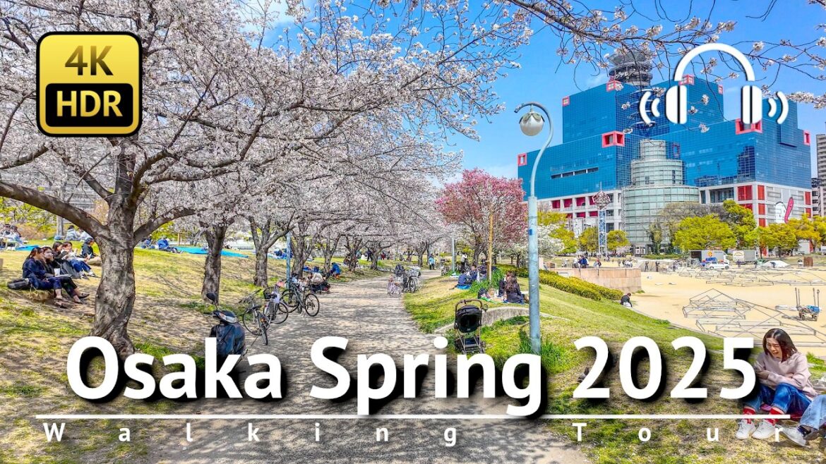 Osaka Spring 2025 Walking Tour [4K/HDR/Binaural]