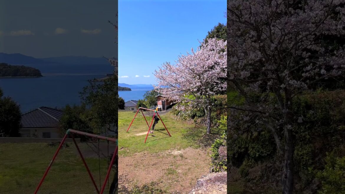 Japanese countryside: Tsukinoura Sakura Park, Minamata City, Kumamoto, Japan. #japaneselandscape